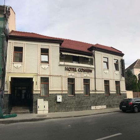 Hotel Cosmin Arad Exteriér fotografie